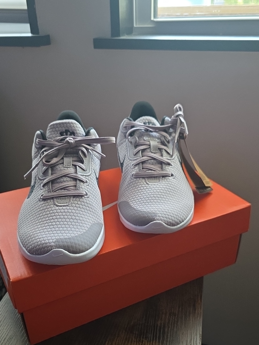 NIB Nike W Flex Experience RN 11